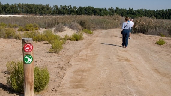 Wildlife of al Wathba wetland reserve by By Emirati Guide Sultan Karrani