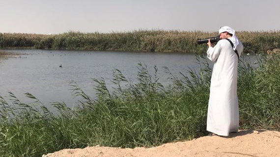 Wildlife of al Wathba wetland reserve by By Emirati Guide Sultan Karrani