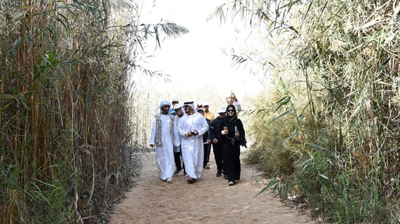 Wildlife of al Wathba wetland reserve by By Emirati Guide Sultan Karrani