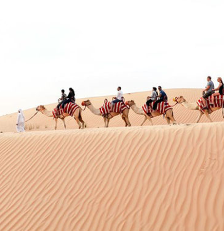 Abu Dhabi Camel Trekking Tour