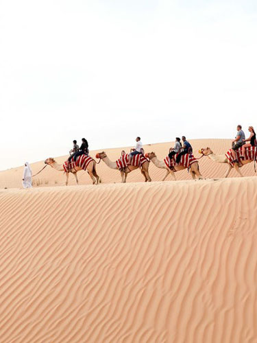 Camel riding on dunes