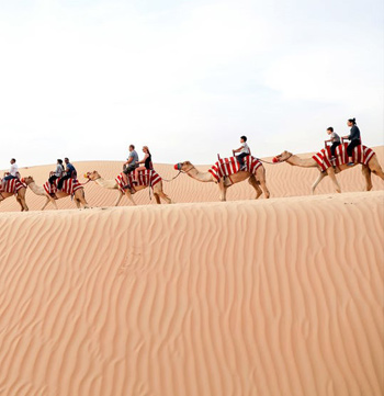 Abu Dhabi Premium Camel Trekking