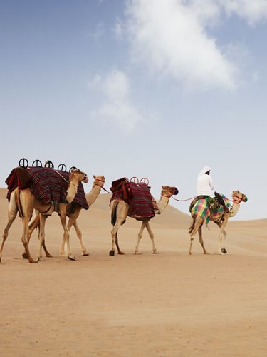 Camel Riding