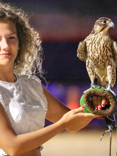 Photos With Falcon