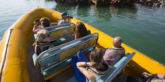 The yellow boat Abu Dhabi