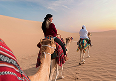 Abu Dhabi Camel Trekking Tour