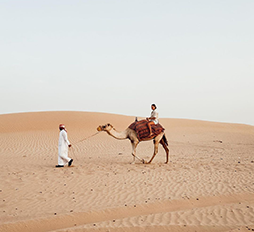 Abu Dhabi Camel Trekking Tour