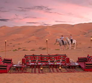 Qasr Al Sarab Lunch and Liwa Day Tour from Abu Dhabi