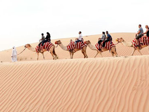 Abu Dhabi Camel Trekking Tour