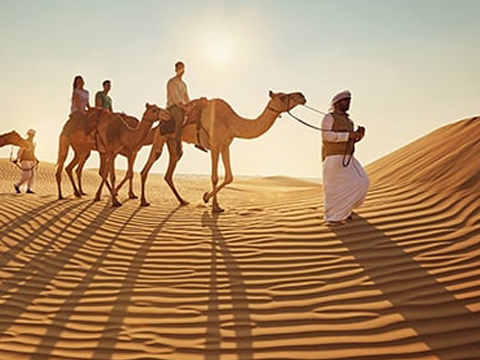 Abu Dhabi Camel Trekking Tour