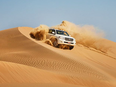 Standard Abu Dhabi Morning Desert Tour 