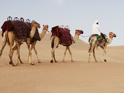 sunrise desert tour abu dhabi