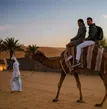 Abu Dhabi Overnight Sand Tour: Adventures Await
