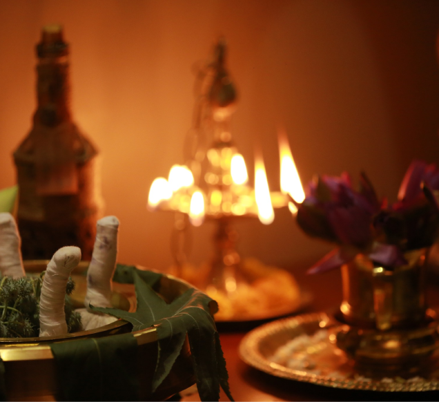 Ayurvedic Medicine for Uric Acid