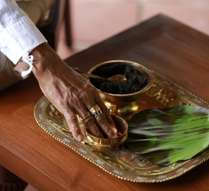 Ayurvedic Medicine for Uric Acid