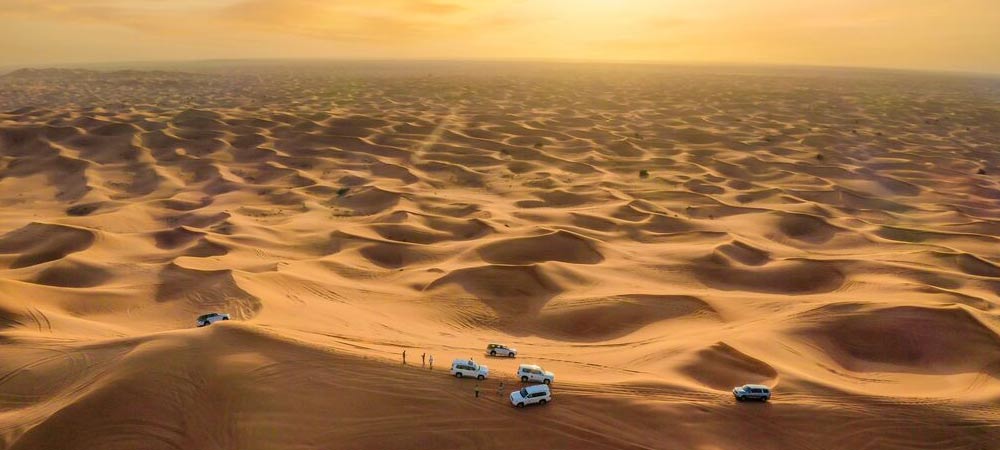 safari vs desert Best Desert Safari