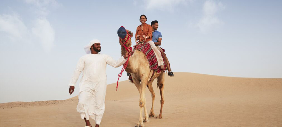 Camel trekking in Liwa