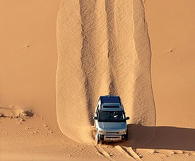 Liwa Day Tour