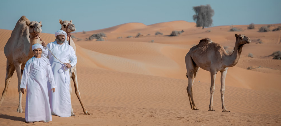 Dune Adventures in Ras al Khaimah