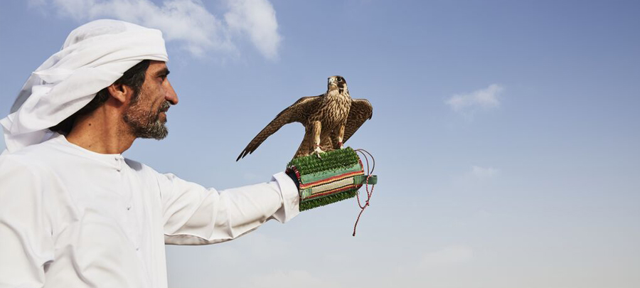 Falconry Experience in Ras al Khaimah