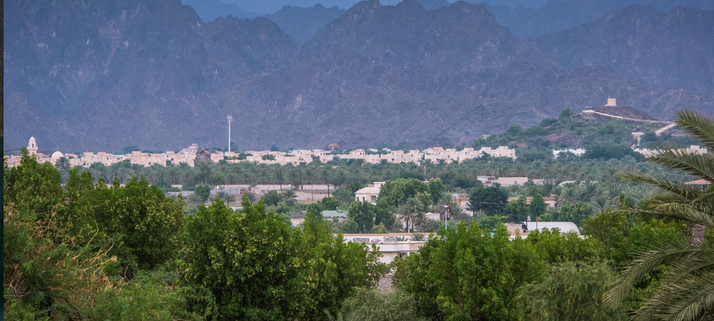 The Hatta Watch Tower and Hatta Fort