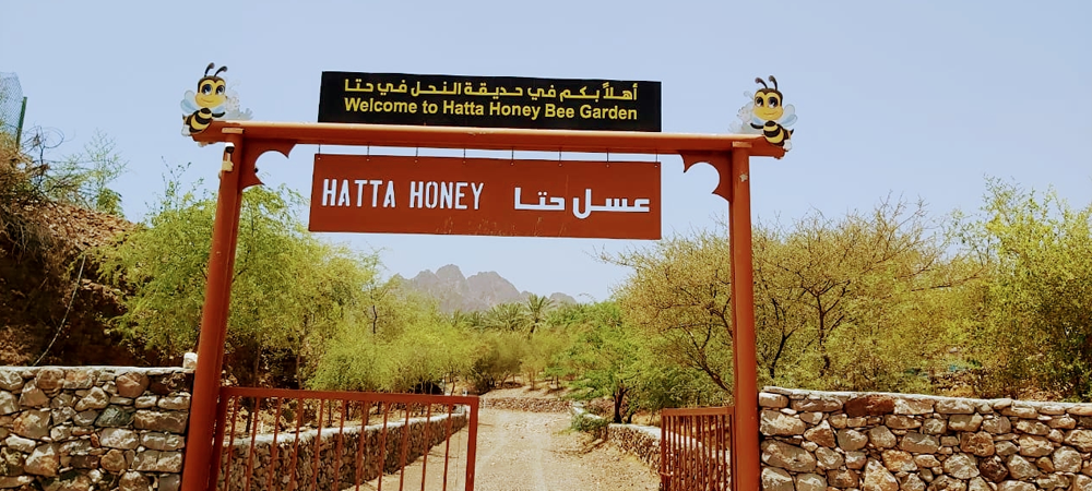 Hatta Honeybee Garden and Discovery Centre