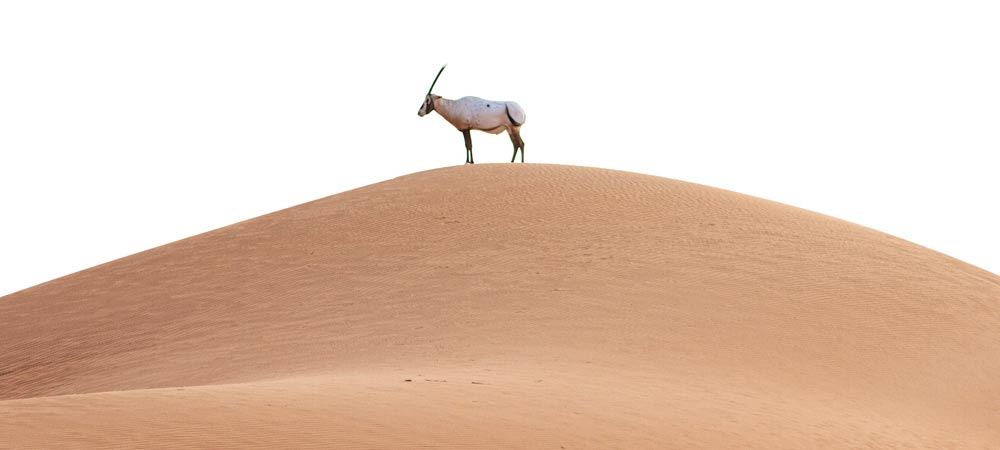 Lahbab Desert