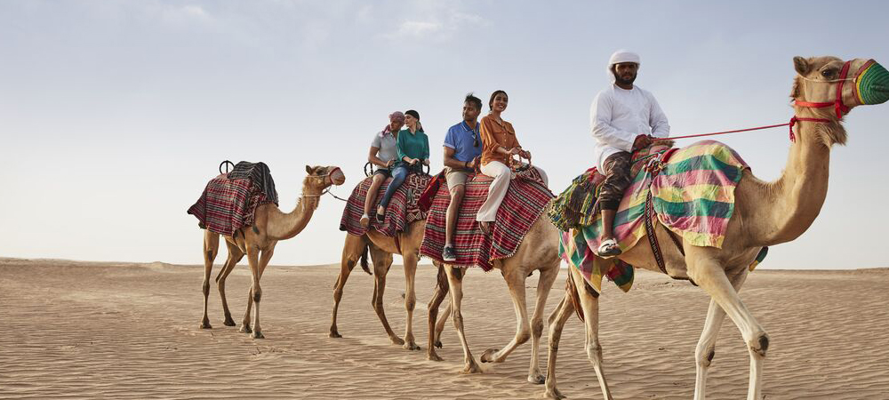 Liwa Dune Bashing