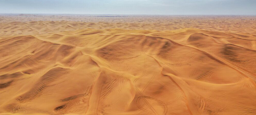 liwa dune bashing