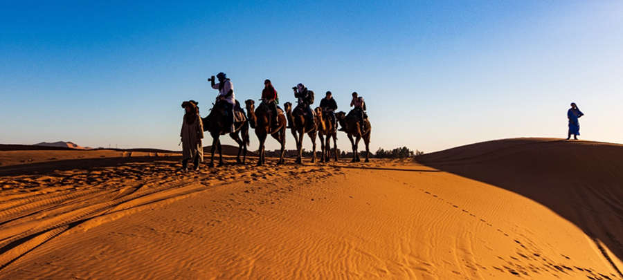 Ride a camel and explore the Liwa sand dunes for a relaxing experience