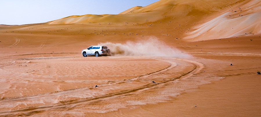 Liwa tallest dunes