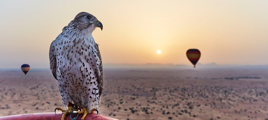 cultural experience amidst the golden dunes of Ras al Khaimah