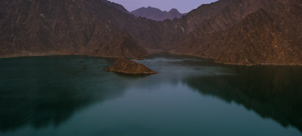 Go Birdwatching at Hatta Swan Lake