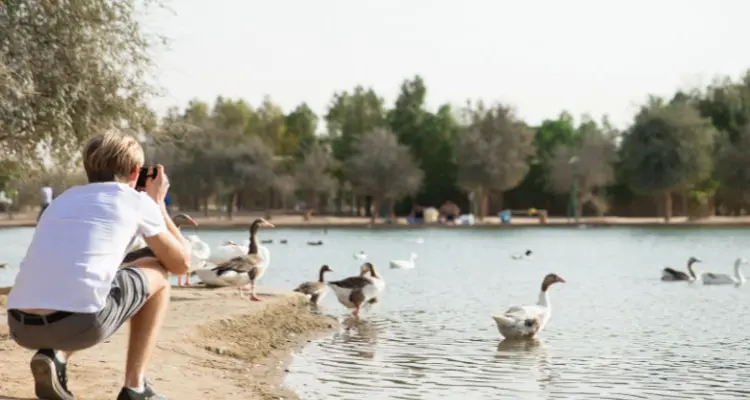 Camping at Al Qudra Lakes