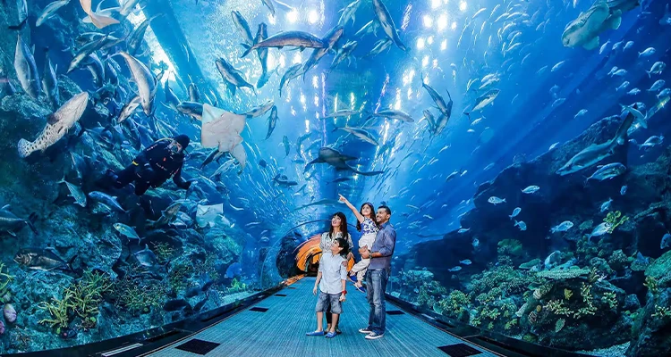 Dubai Aquarium and Underwater Zoo