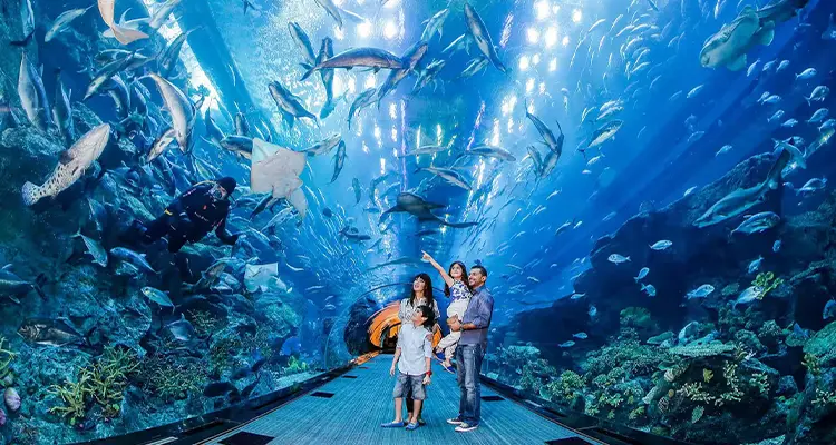 Dubai Aquarium and Underwater Zoo