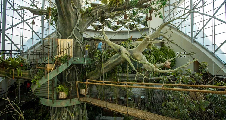 Rainforest at the Green Planet
