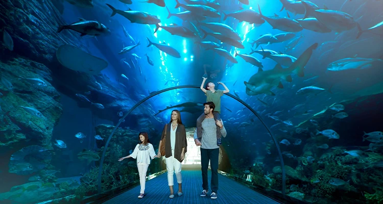 Dubai Mall and Aquarium