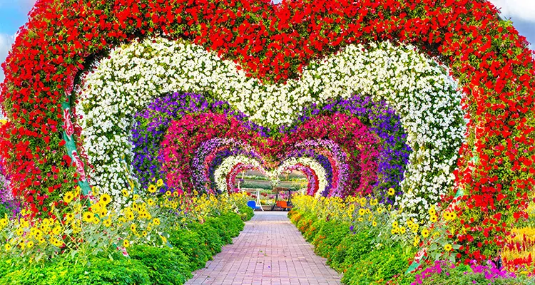 Dubai Miracle Garden