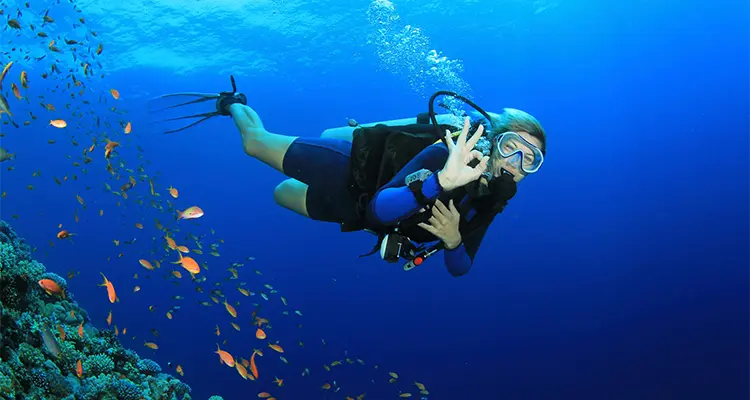 Scuba Diving