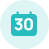 30days icon
