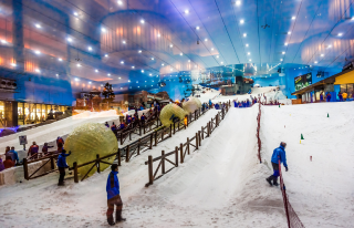 Ski Dubai (Mall of the Emirates)