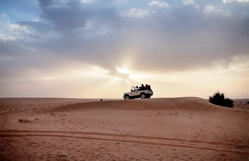 Liwa Desert Safari