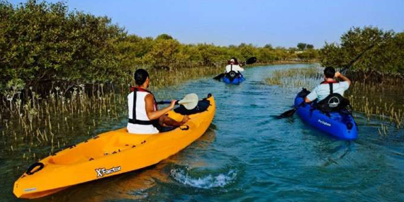 Sir Bani Yas Island Kayaking