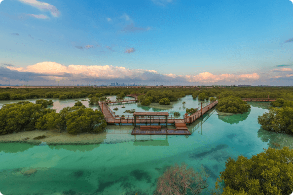 Eastern Mangrove Lagoon National Park