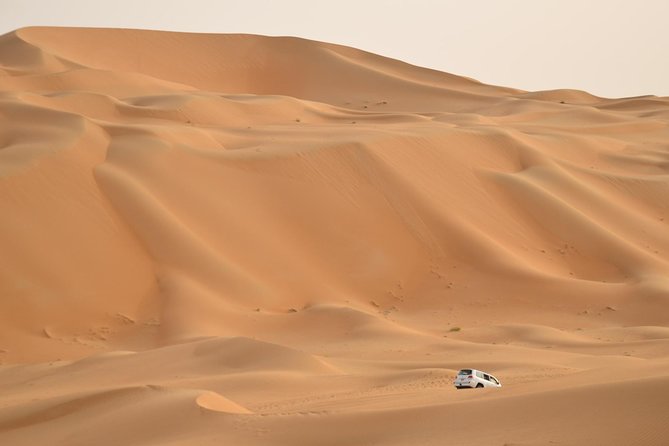 Liwa Desert