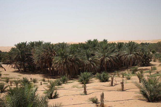 Liwa Desert