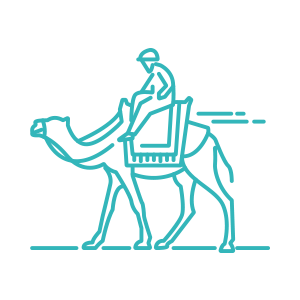 No camel rides