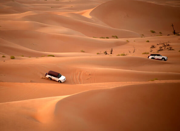 Luxury Abu Dhabi Morning Desert Safari with Pool Access & Breakfast