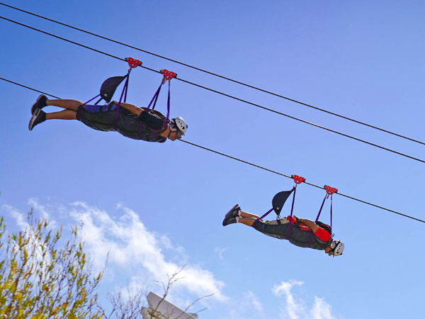 Jais Flight Zipline